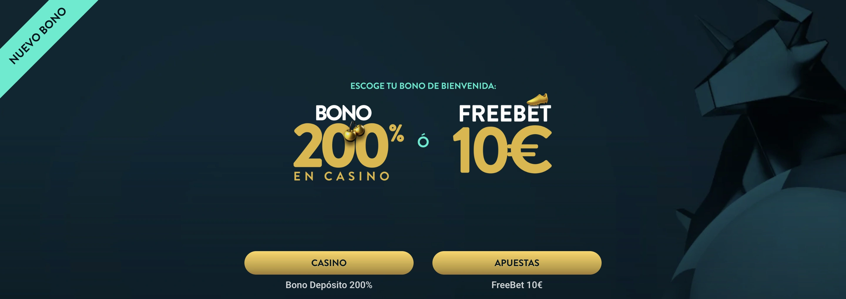 Promotional Banner